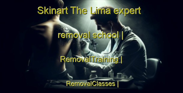 Skinart The Lima expert removal school | RemovalTraining | RemovalClasses | SkinartTraining-Sweden